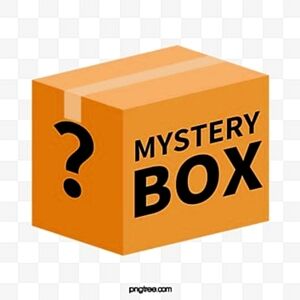 NWT Mystery Box
